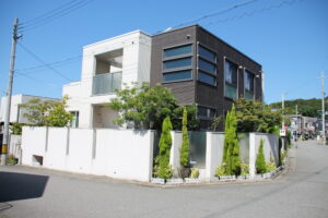 白と黒のツートンカラー